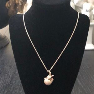 Sterling Silver Turtle in Shell